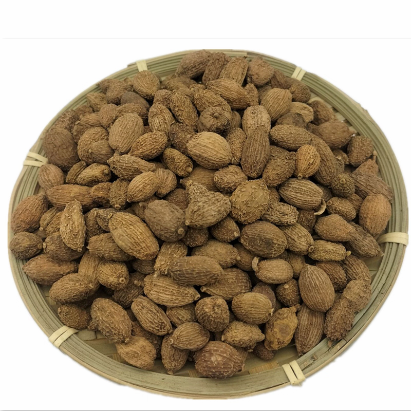 砂仁中药材原料批发想香料类批发进口壳砂批发免费打粉批发砂