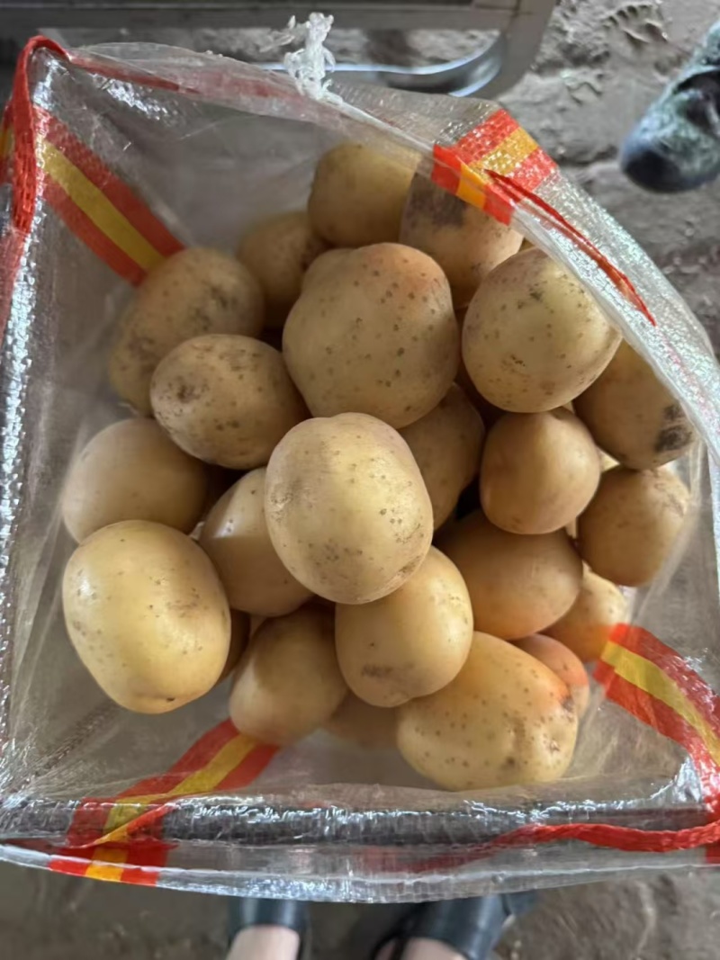 黄心土豆，市场电商