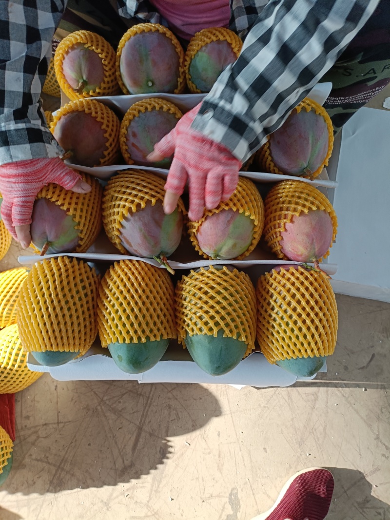 （凯特芒）攀枝花原产地货源市场供品质货代办走量