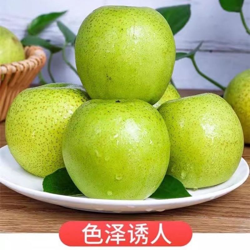 苏翠1号脆甜多汁梨中爱马仕