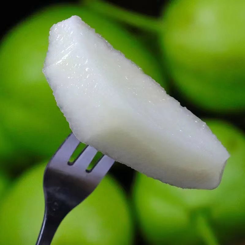 苏翠1号脆甜多汁梨中爱马仕