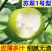 苏翠1号脆甜多汁梨中爱马仕