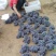 昌黎县玫瑰香葡萄🍇