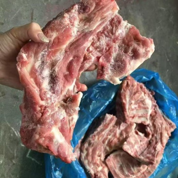 猪颈骨