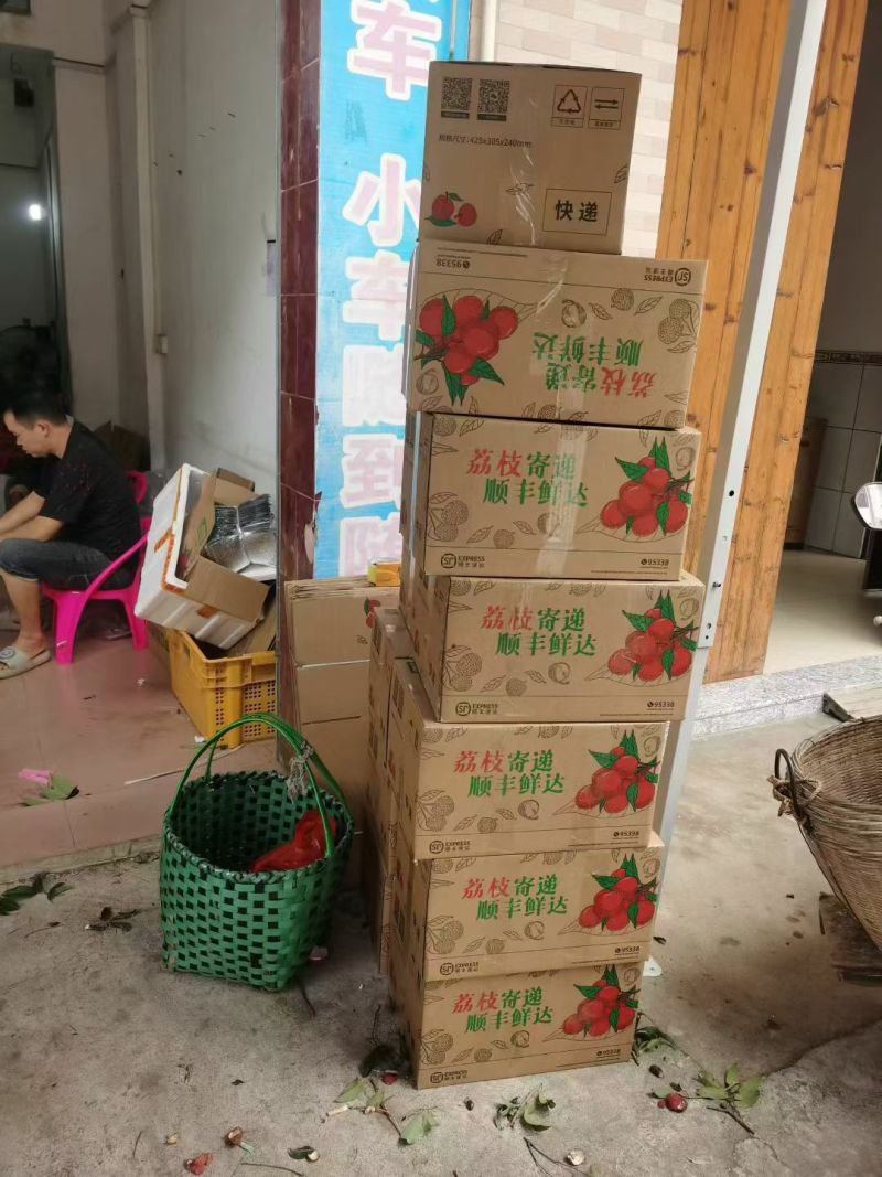 情人荔