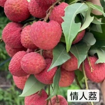 情人荔