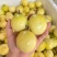黄金百香果钦蜜9号电商中果