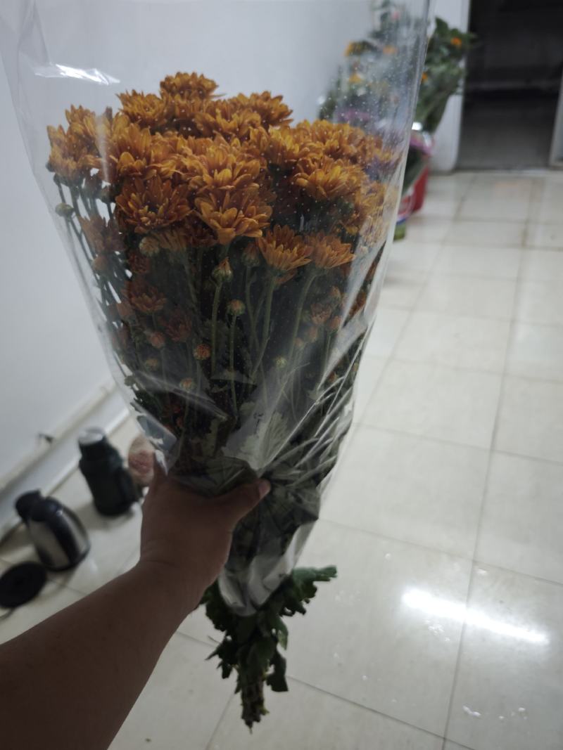 吉星一手货源，品质保证，可对接各大电商等，诚信经营