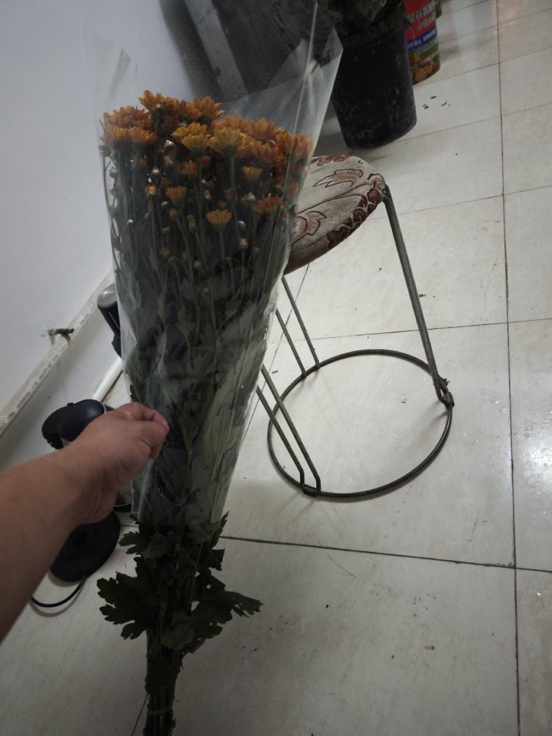 吉星一手货源，品质保证，可对接各大电商等，诚信经营