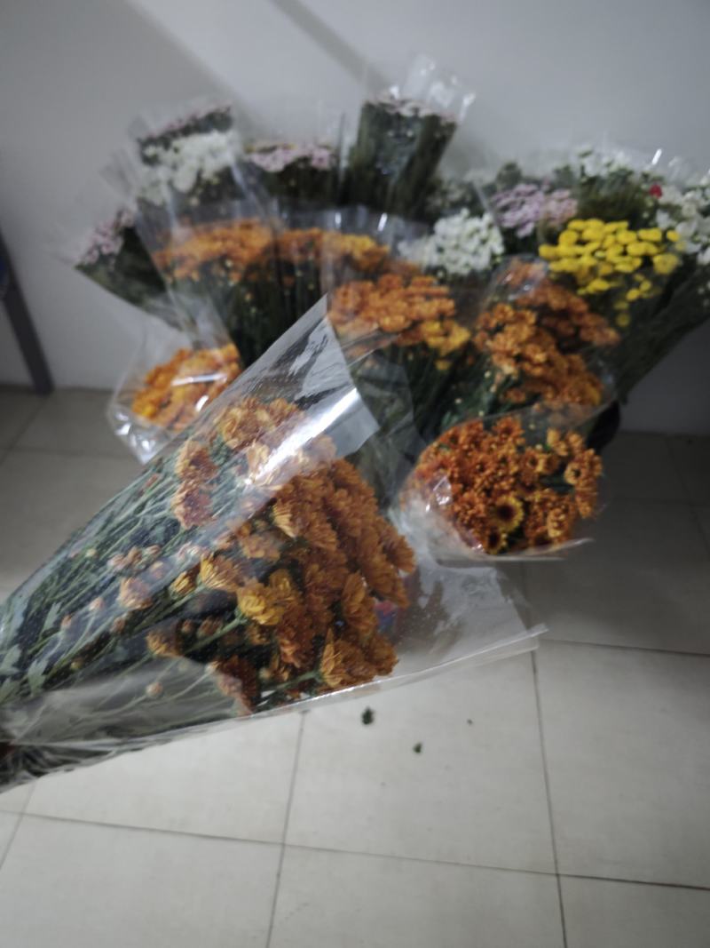 吉星一手货源，品质保证，可对接各大电商等，诚信经营