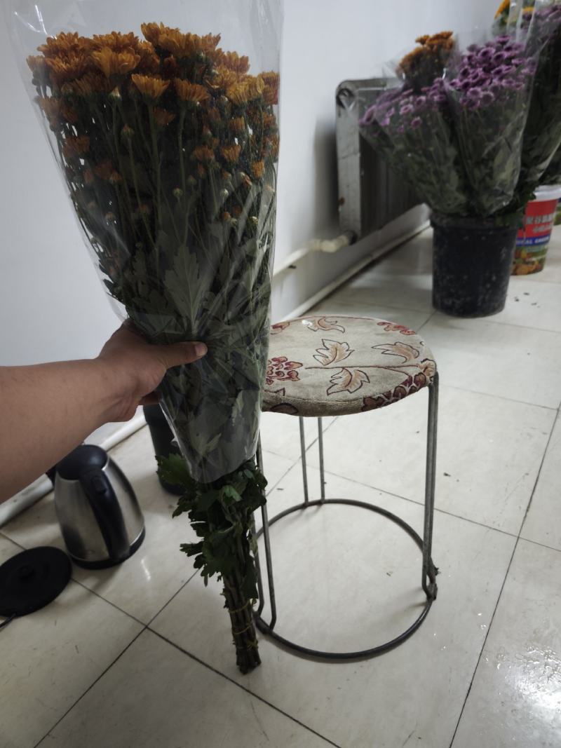 吉星一手货源，品质保证，可对接各大电商等，诚信经营