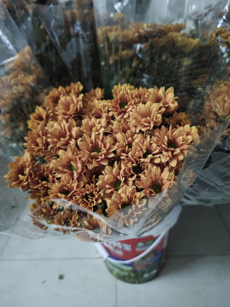 吉星一手货源，品质保证，可对接各大电商等，诚信经营