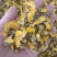 射干中药材射干1斤起批现货供应欢迎选购