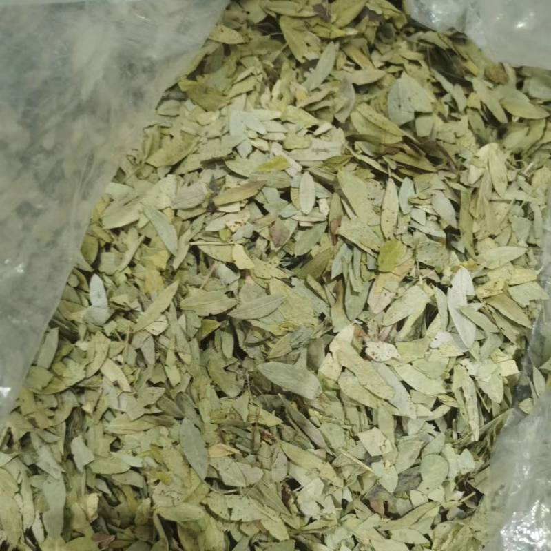 番泻叶泻叶1斤起批现货供应批发各种中药材欢迎选购