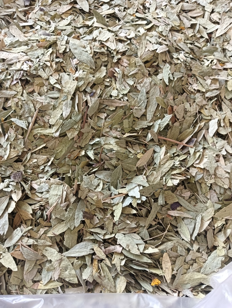 番泻叶泻叶1斤起批现货供应批发各种中药材欢迎选购