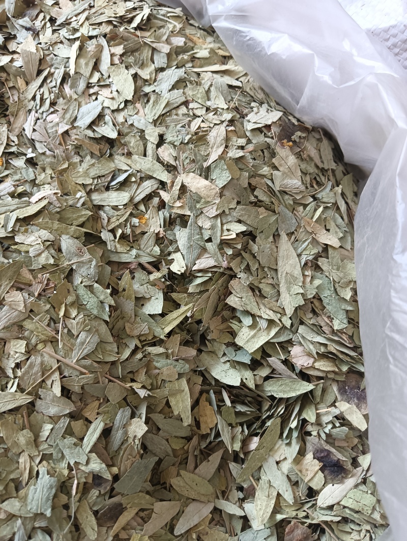 番泻叶泻叶1斤起批现货供应批发各种中药材欢迎选购