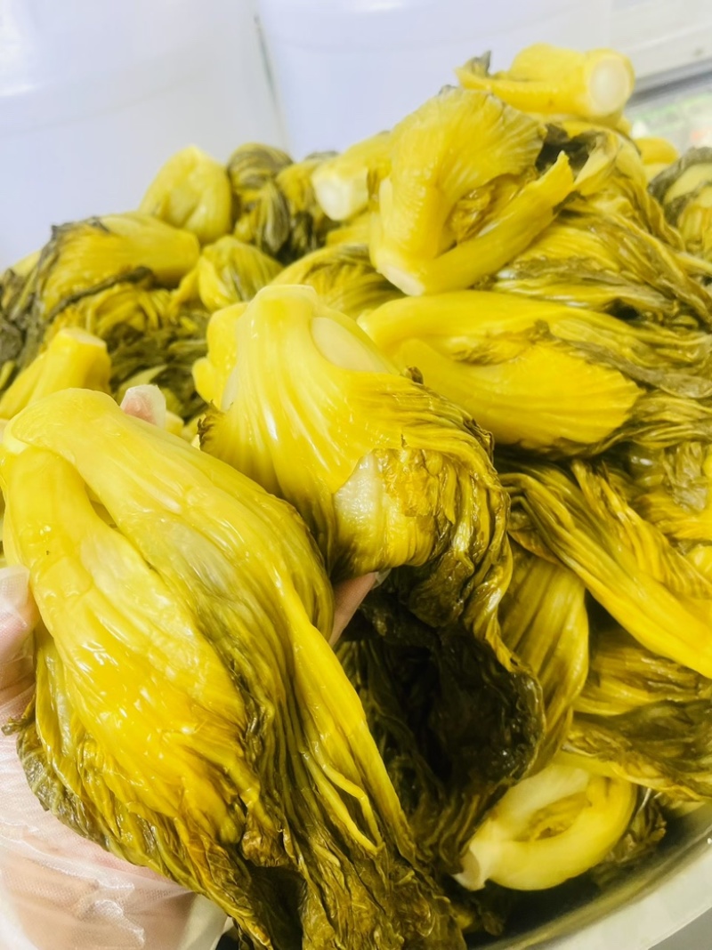 【腌芥菜】优质腌芥菜酸菜乳酸菌酸菜益生菌酸菜一件代发