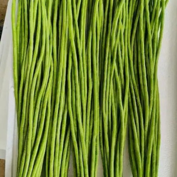精品长豆角，新鲜供应。