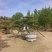 精品北方造型黑松盆景，一代人的坚持，二代人的付出，