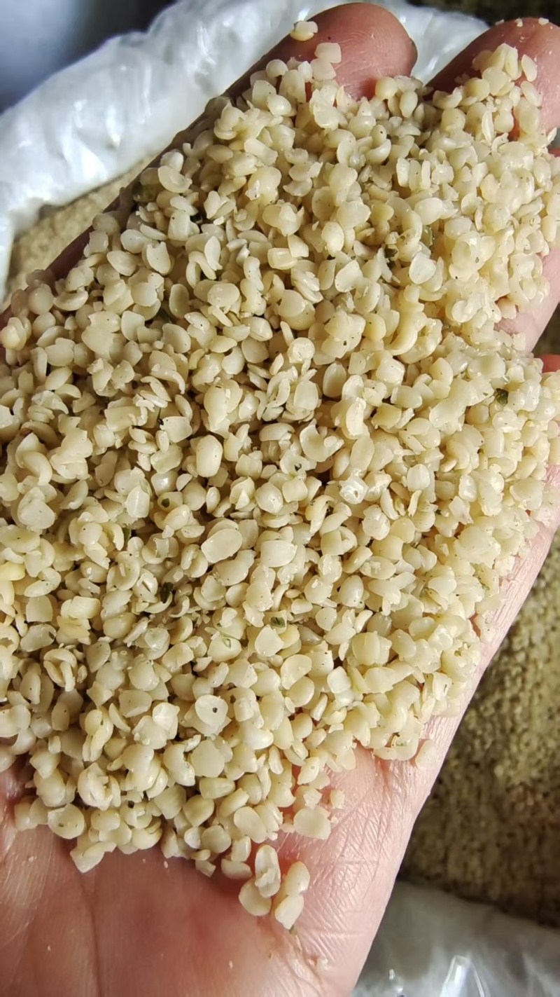 火麻仁去皮选货熬粥中药材2斤包邮