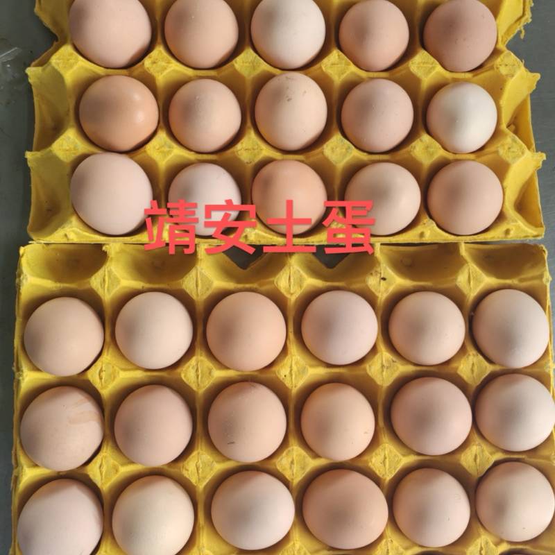 土鸡蛋，绿壳蛋