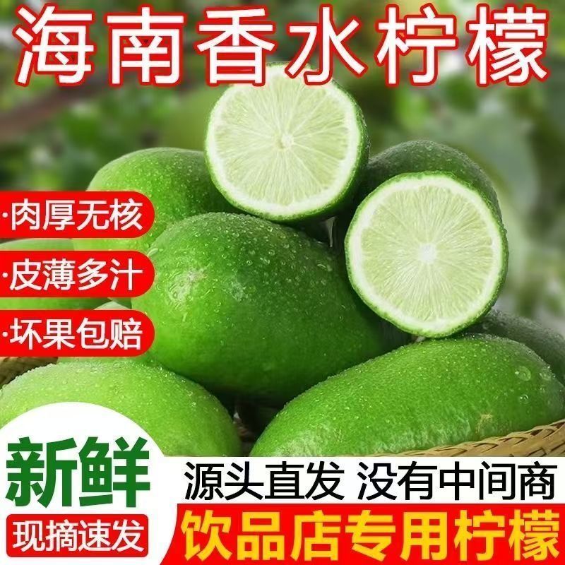 广东香水柠檬一级果无籽爆香新鲜青柠檬奶茶店手打柠檬专用青皮