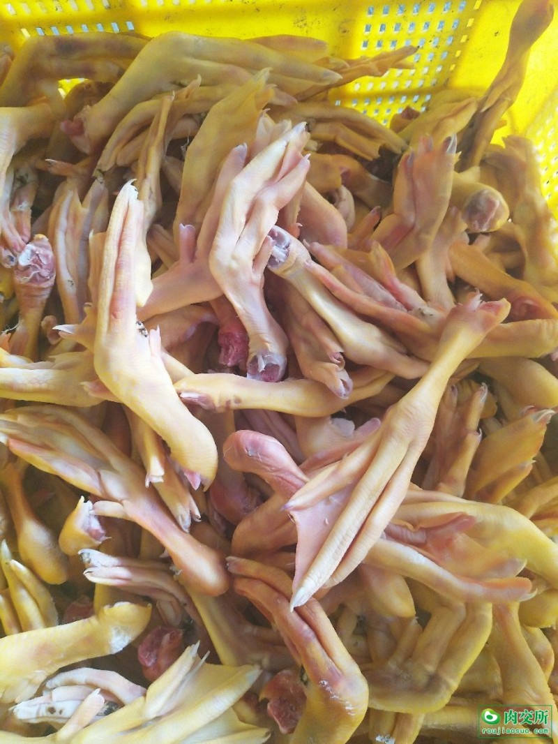 黄皮鸭掌质量保证干净卫生全国冷链直达干净