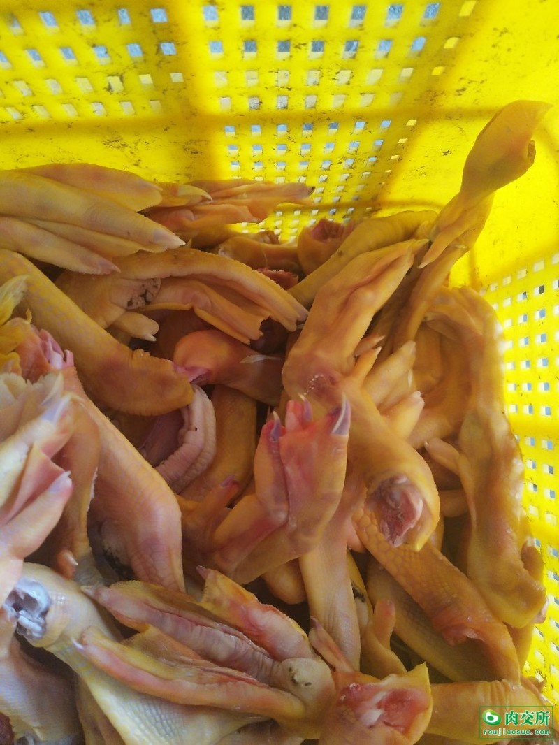黄皮鸭掌质量保证干净卫生全国冷链直达干净