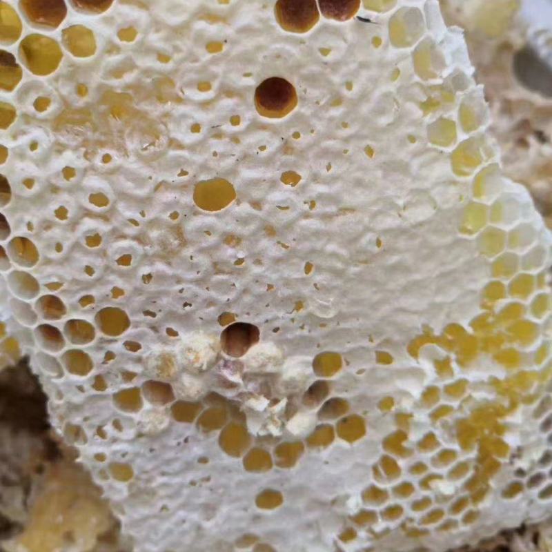 ***龙眼蜜，保证质量，可批发零售