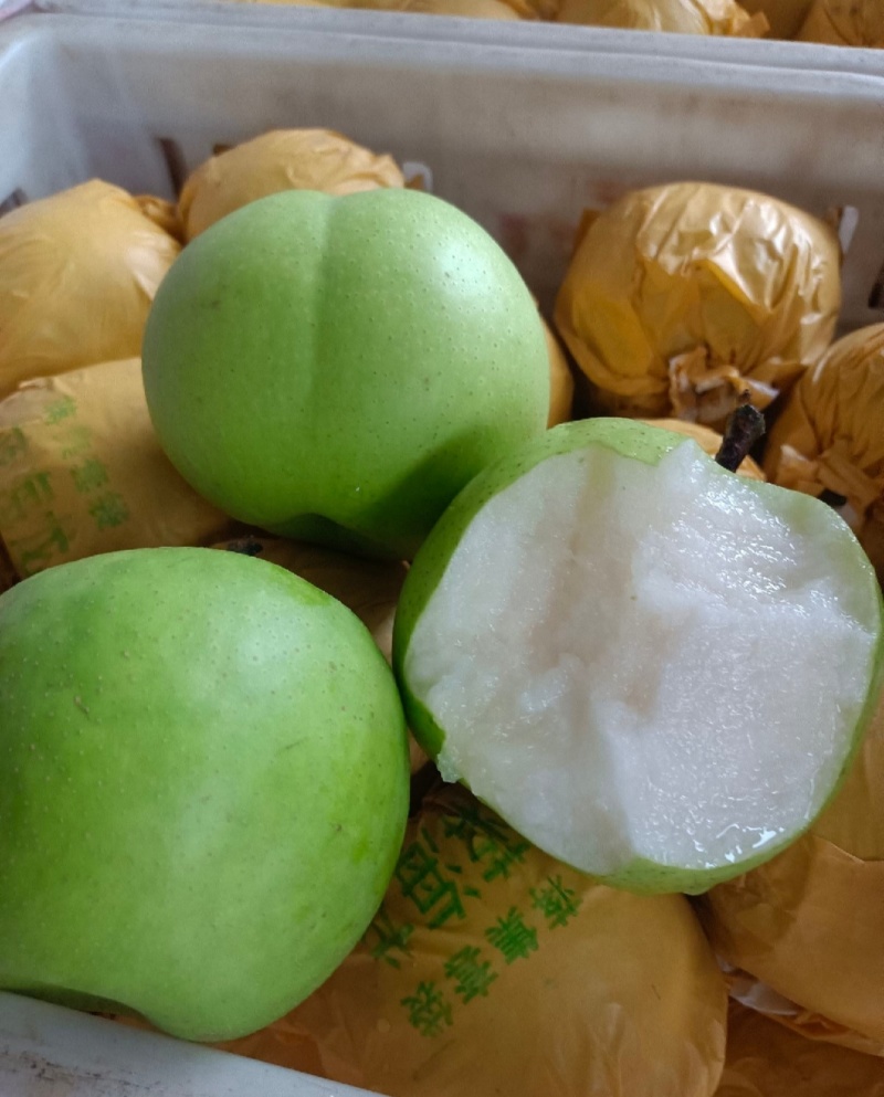 湖北翠冠梨苹果梨蜂糖梨产地大量有货