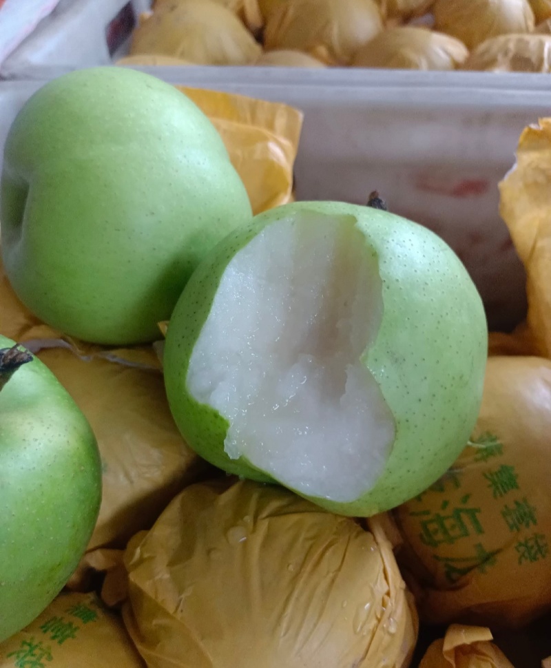 湖北翠冠梨苹果梨蜂糖梨产地大量有货