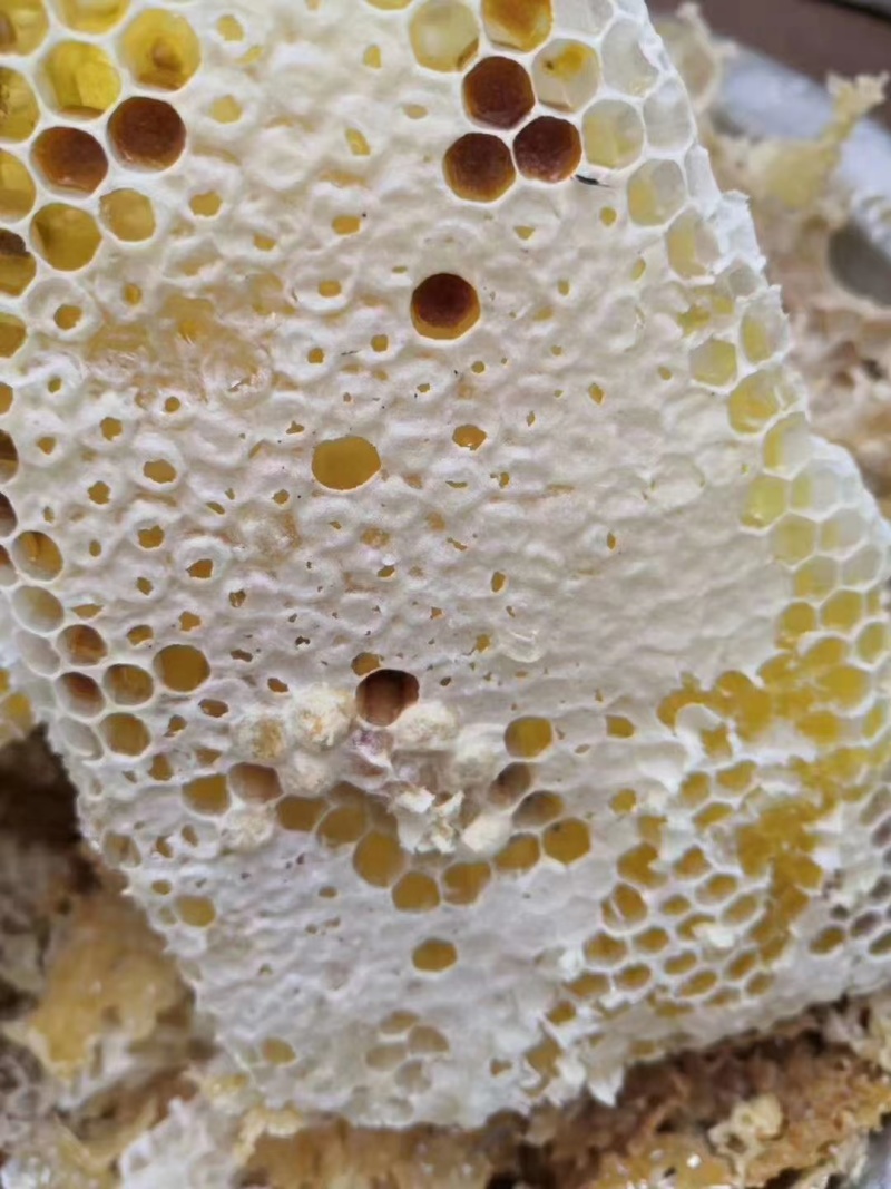 ***龙眼蜜，保证质量，可批发零售