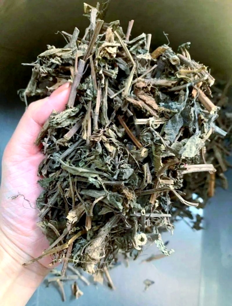 农家自产溪黄草