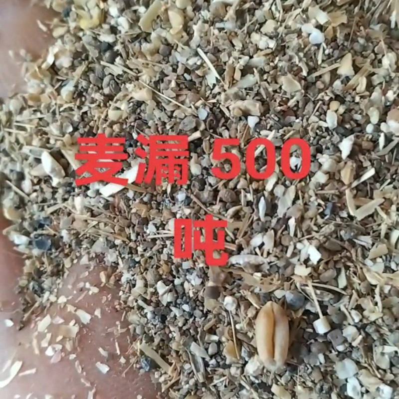 掺麦神器