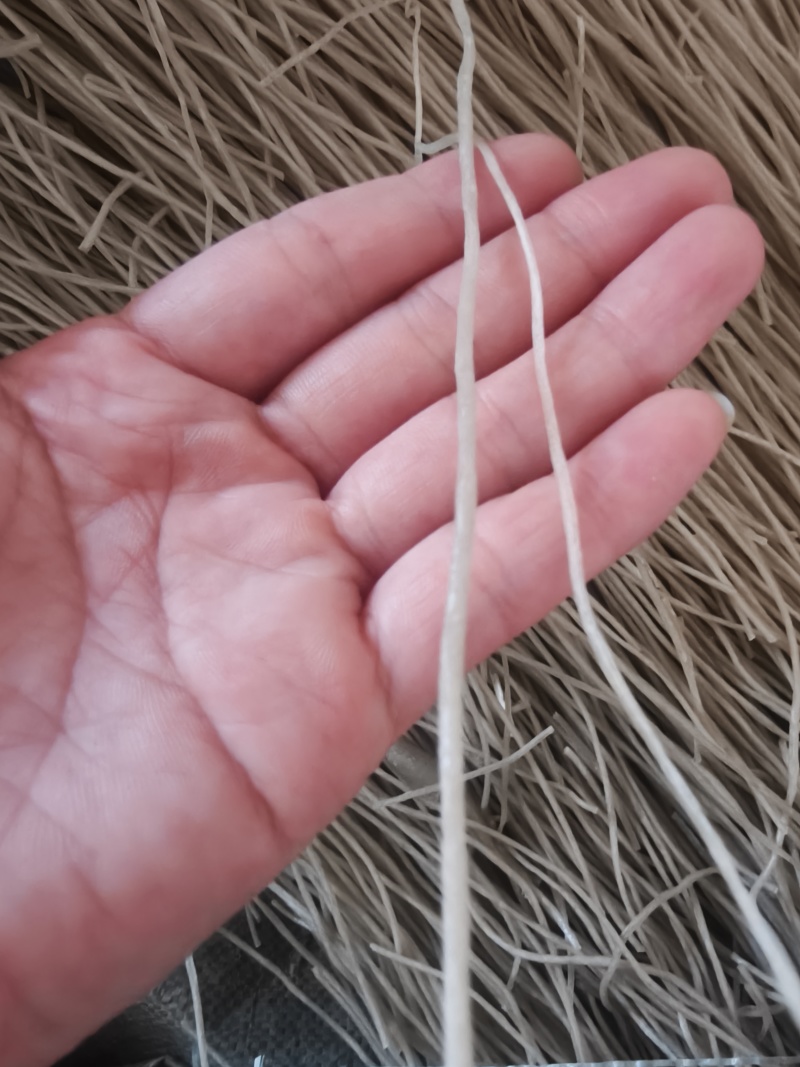 台州绿豆面，红薯粉制作，手工制作，粗细都有