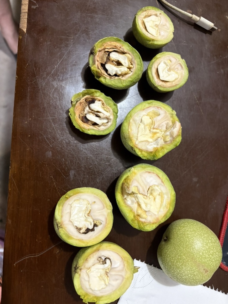 青皮核桃，价格便宜果仁饱满