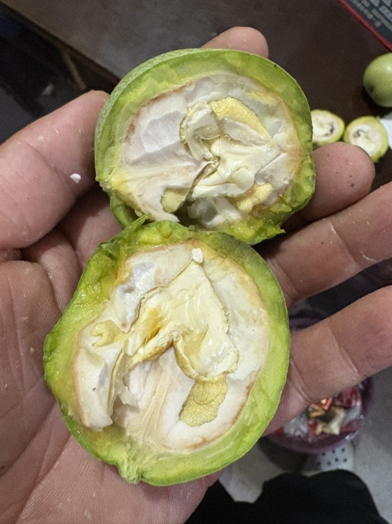 青皮核桃，价格便宜果仁饱满