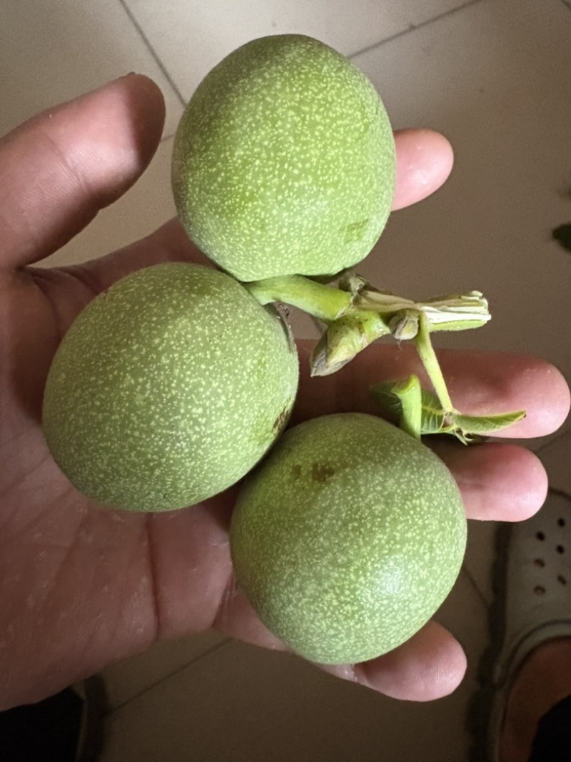 青皮核桃，价格便宜果仁饱满