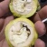 青皮核桃，价格便宜果仁饱满