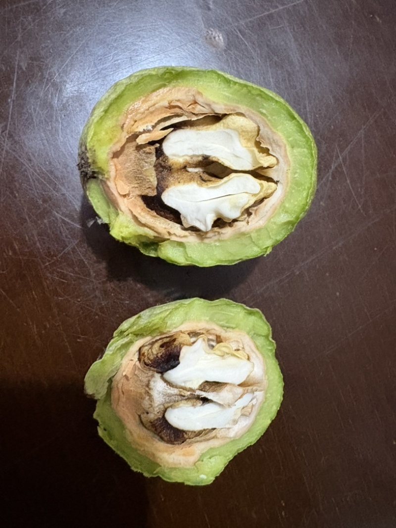 青皮核桃，价格便宜果仁饱满