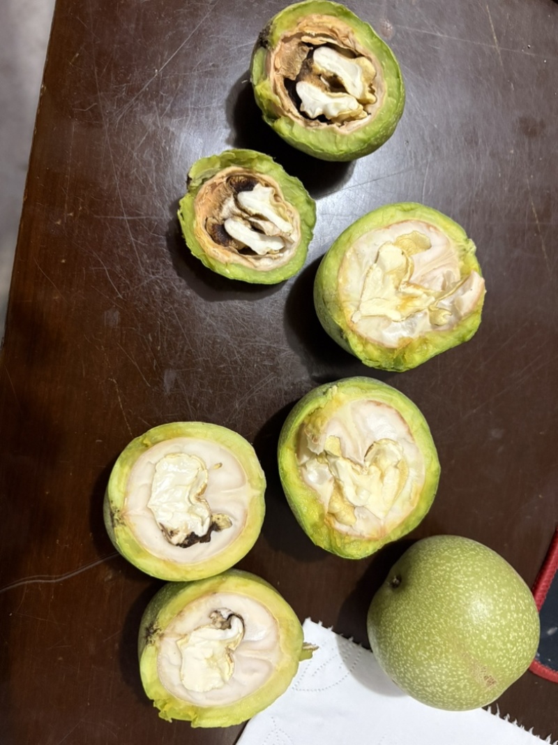 青皮核桃，价格便宜果仁饱满