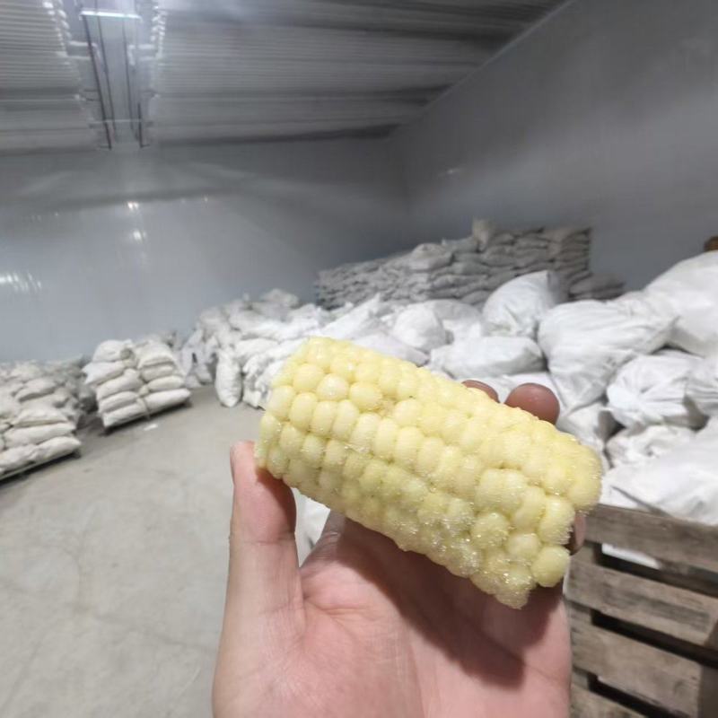 白糯玉米段/冷冻玉米段/吉林白糯玉米可按要求切段