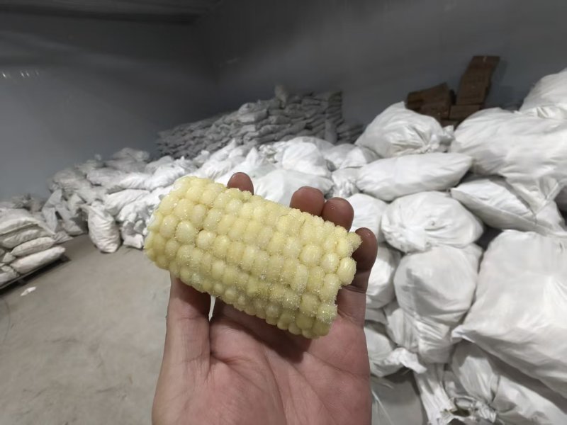 白糯玉米段/冷冻玉米段/吉林白糯玉米可按要求切段