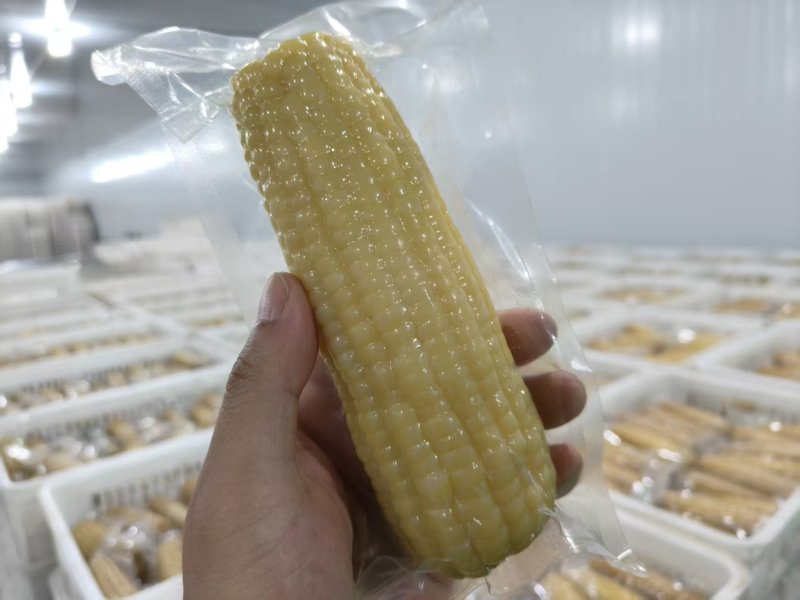 糯玉米/白糯玉米/黄糯玉米/欢迎下单订购