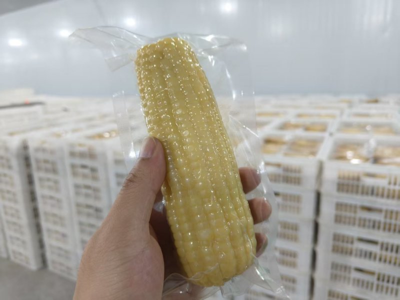 糯玉米/白糯玉米/黄糯玉米/欢迎下单订购