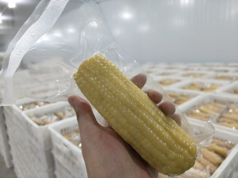 糯玉米/白糯玉米/黄糯玉米/欢迎下单订购