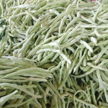 白芸豆，白大架豆角