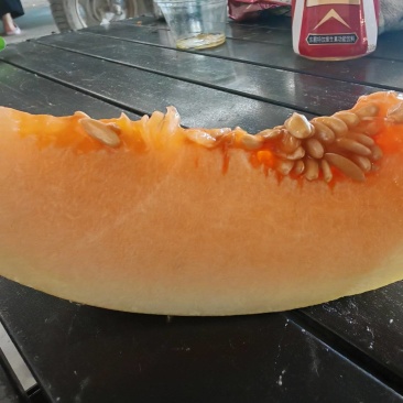 黄河蜜瓜，本产品在沙漠成长，