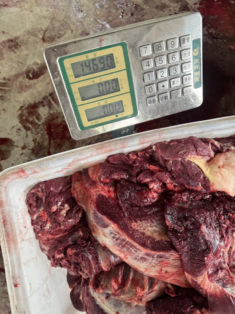 鲜马肉