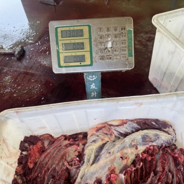 鲜马肉